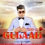 Dj Tandav Songs MP3 Download